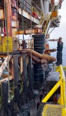 Large Sea Lion Trying to Jump into Water From Oil Rig Hits Boat