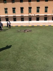 Son dakika haberi: Irak'ta Yeşil Bölge'ye füze saldırısı