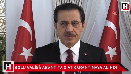 Bolu Valisi: Abant'ta 8 at karantinaya alındı