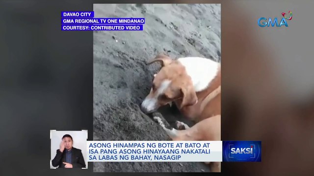 Asong hinampas ng bote at bato at isa pang asong hinayaang nakatali sa labas ng bahay, nasagip | Saksi