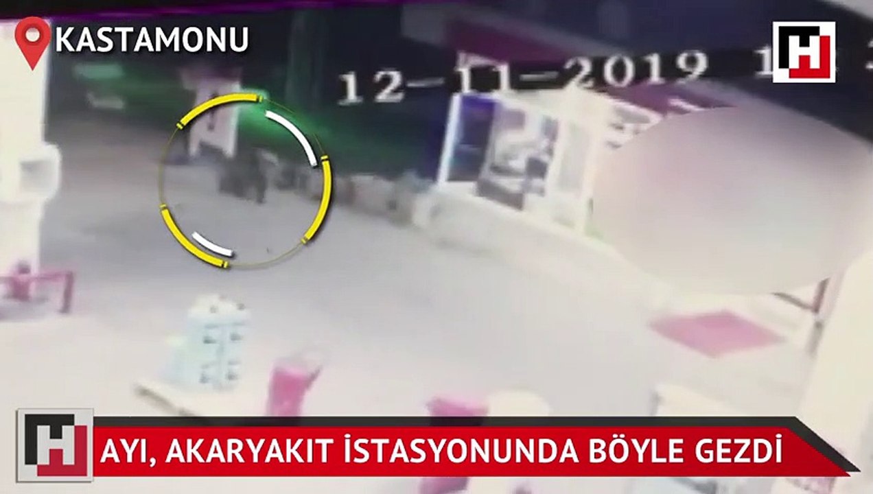 Akaryakıt istasyonuna giren ayı kamerada