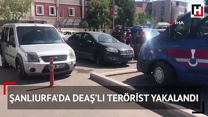 Şanlıurfa’da DEAŞ’lı terörist yakalandı