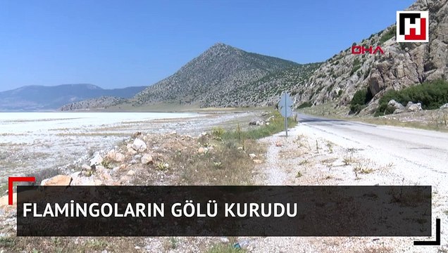 Flamingoların gölü kurudu