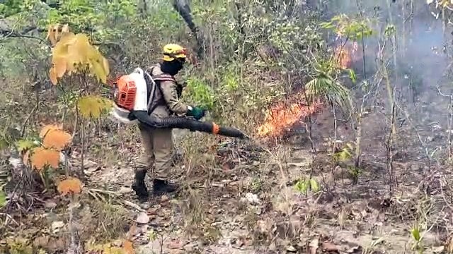 Bombeiros combatem incêndio florestal em Cavalcante, na Chapada dos Veadeiros