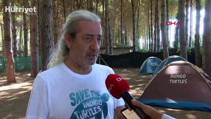 Hayalet ağlar deniz kaplumbağalarını öldürüyor
