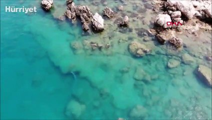 Akdeniz foku, Üç Adalar'da böyle görüntülendi