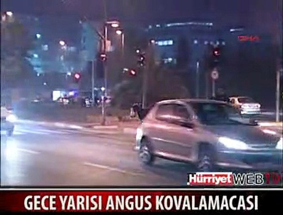İSTANBUL'DA ANGUS KOVALAMACASI