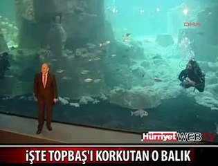 KADİR TOPBAŞ'I KORKUTAN BALIK