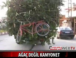 BU OLAY (GERÇEKTEN DE) ADANA'DA YAŞANDI