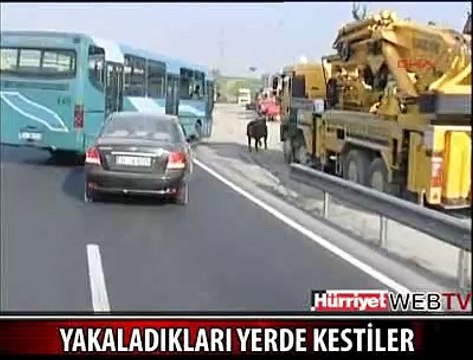 OTOBÜS KAMYONET OTOMOBİLLE KOVALADILAR