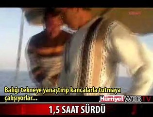 DEV KÖPEK BALIĞINI BÖYLE YAKALADILAR