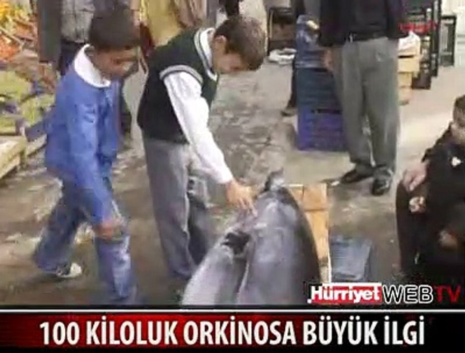 100 KİLOLUK DEV ORKİNOS YAKALANDI