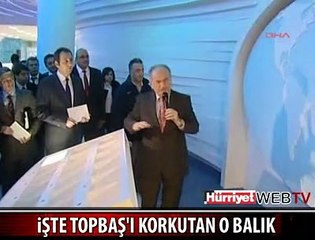 KADİR TOPBAŞ'I KORKUTAN BALIK