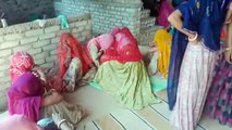 Video : डेढ़ वर्षीय मासूम बालिका को सर्प ने काटा, दर्दनाक मौत