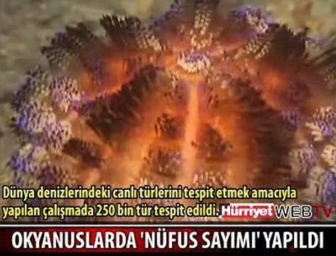 OKYANUSLARDA NÜFUS SAYIMI YAPILDI