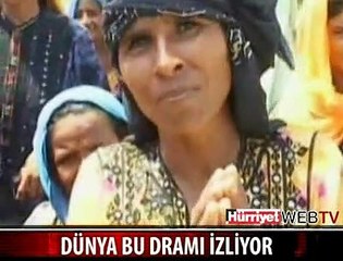 YAZIK! HERKES SADECE SEYREDİYOR