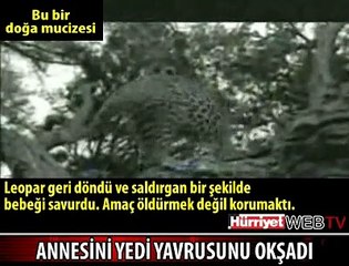 KAİNATIN BÜYÜK GERÇEĞİ