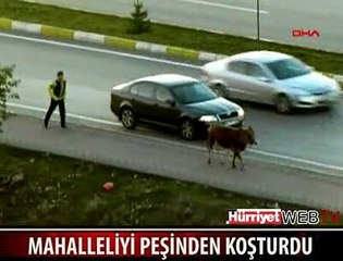 ONLARCA KİŞİ SAATLERCE PEŞİNDEN KOŞTU