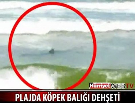 PLAJDA KÖPEK BALIĞI DEHŞETİ
