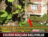 EVLERİNİ HALATLARLA AĞAÇLARA BAĞLADILAR