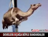 DEVELERİ UÇAĞA BÖYLE BİNDİRDİLER