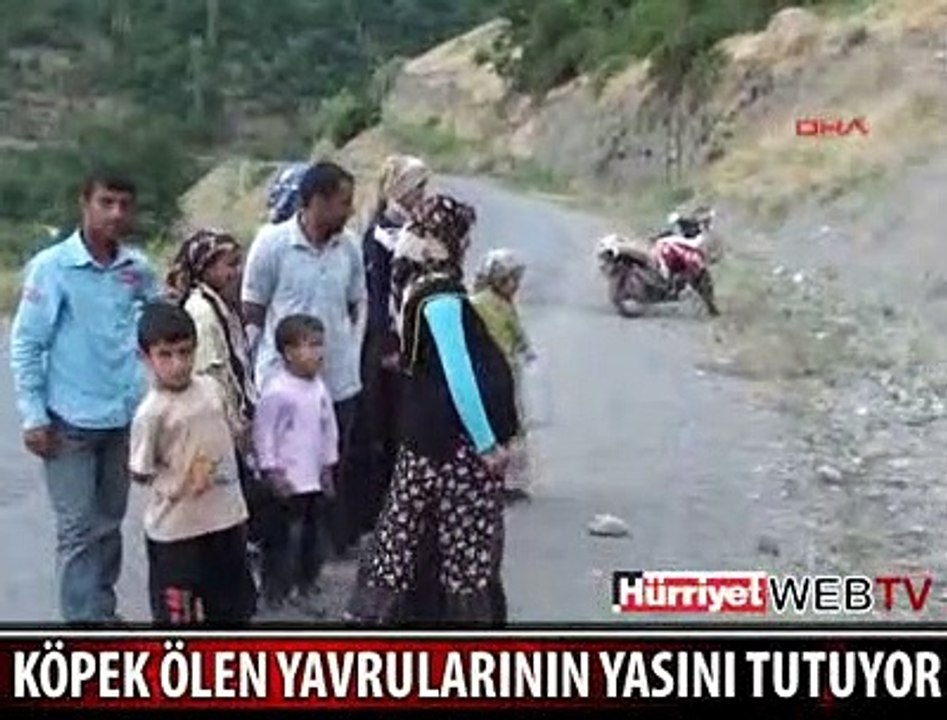 BUNU YAPAN İNSAN OLAMAZ