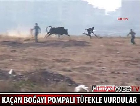 BU KADAR DA OLMAZ Kİ