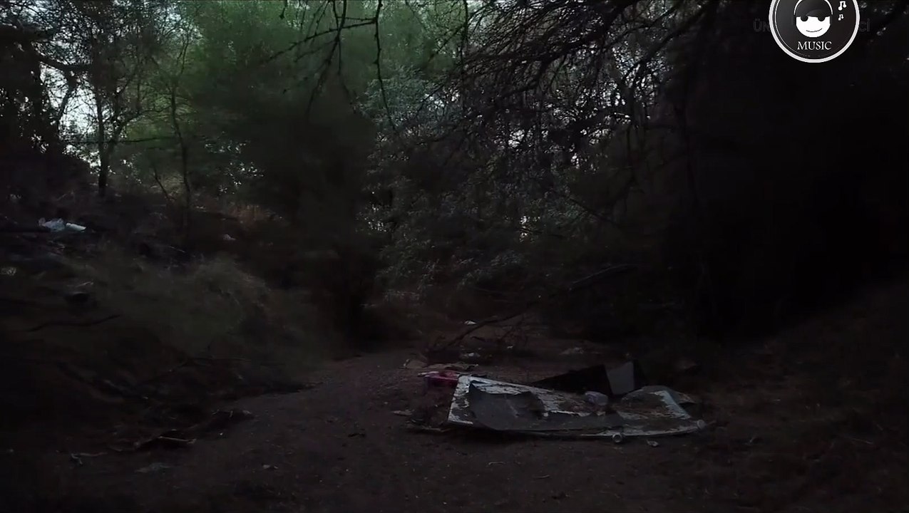 Visitor | Horror Music | Horror Music Background