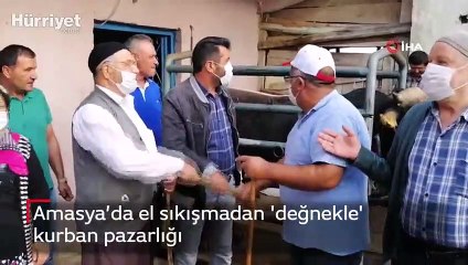 Amasya’da el sıkışmadan 'değnekle' kurban pazarlığı