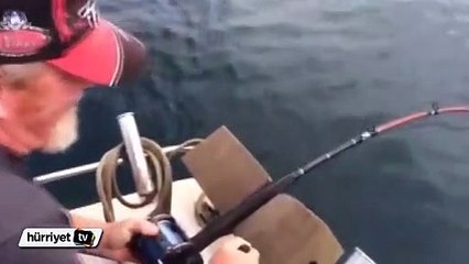 Yeni Zelanda'da köpekbalığı balıkçının tuttuğu balığı böyle çaldı