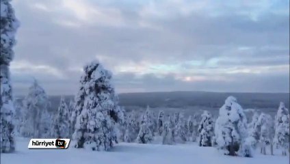 Ayşe Arman ve Alya Laponya’da