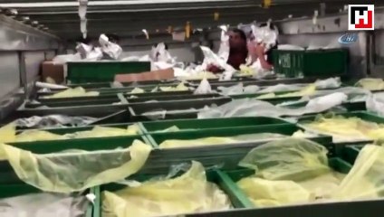 Kaçak göçmenleri saklamak için alüminyum folyoya sardılar