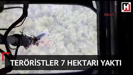 Teröristler dün kaçarken ateşe vermişti... Amanoslar'ın ciğerleri yanıyor!