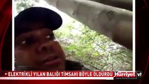 TİMSAHI SANİYELER İÇERİSİNDE BÖYLE ÖLDÜRDÜ