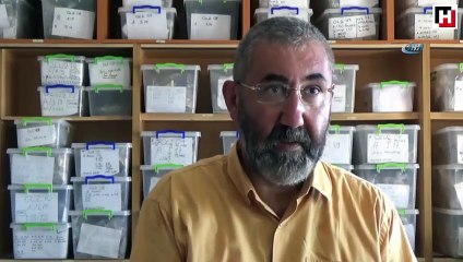 Amasya’da 2 bin 500 yıllık Pers sarayının sütunları bulundu