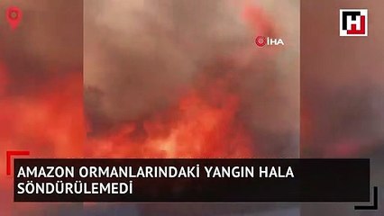 Amazon Yağmur Ormanları'ndaki yangın devam ediyor