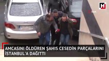 Amcasını öldürdü, cesedi parçalayarak İstanbul'a dağıttı