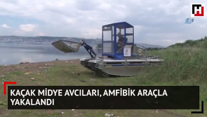 Kaçak midye avcıları, amfibik araçla yakalandı