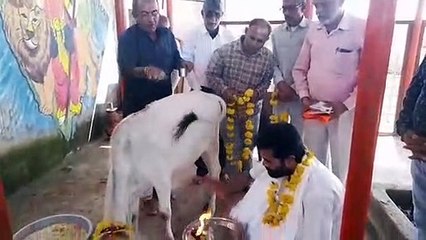गिरी बापू ने त्रिपुरा सुंदरी मंदिर में किए दर्शन