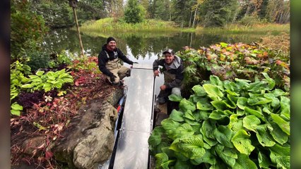 topo Anguille st pascal