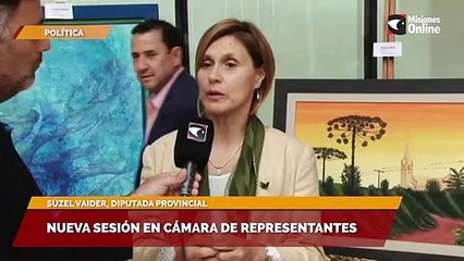 Nueva sesión en Cámara de representantes