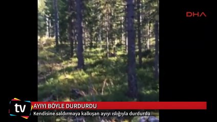 Ayı saldırısından ıslık çalarak kurtuldu