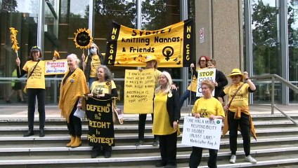 Climate activists launch legal challenge against NSW protest laws