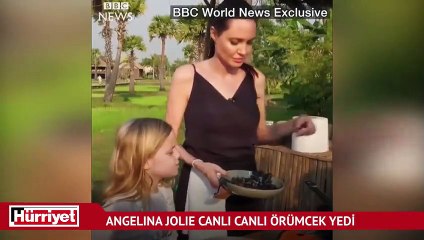 Angelina Jolie canlı canlı örümcek yedi