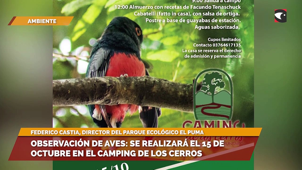 Observación de aves: se realizará el 15 de octubre en el camping de los cerros