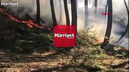 Soğuksu Milli Parkı'nda orman yangını