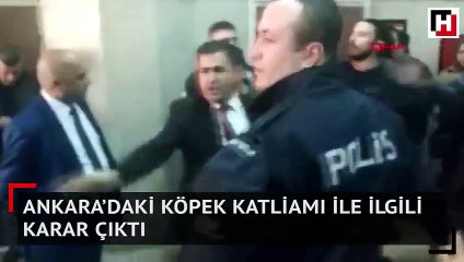 Ankara’daki köpek katliamı ile ilgili karar çıktı