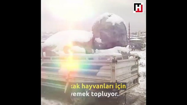 Ailesi için kağıt, sokak hayvanları için yemek topluyor