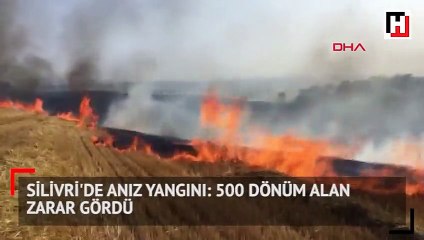 Silivri'de anız yangını: 500 dönüm alan zarar gördü