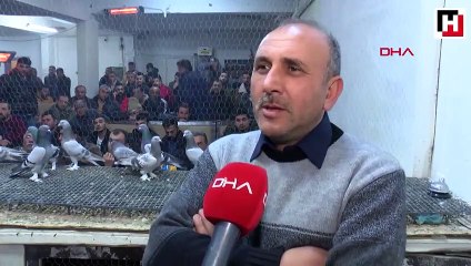 Otomobil fiyatına güvercin